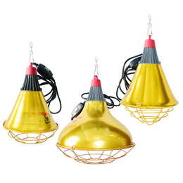 保暖灯灯罩-鑫佰加-陶瓷灯口保暖灯灯罩