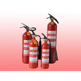干粉灭火器充装-天齐消防(在线咨询)-金华干粉灭火器