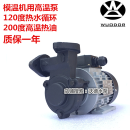YUANSHIN高温热油泵YS-15B泵750W热水循环泵 缩略图