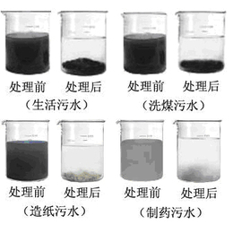 PAM原料 水处理阴离子PAM 阳离子型PAM出厂低价