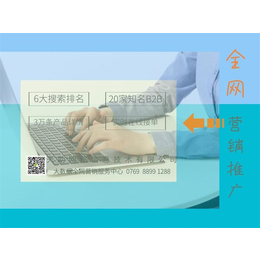 浙江网络推广-东莞天助几千企业选择-网络推广发布