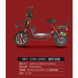 邦能电动车(在线咨询)-广西电动自行车-小型电动自行车