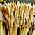 毛明圣烤鸭肠加盟(图)-烤鸭肠加盟技术-鄂州烤鸭肠加盟缩略图1