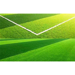 广州假草坪制造商人工草坪人造草坪足球场价格