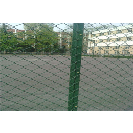 包塑丝篮球场围栏型号-包塑丝篮球场围栏-宏鸿丝网(多图)