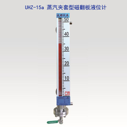 不锈钢带远传磁翻板液位计-磁翻板液位计-大明科技25年经验