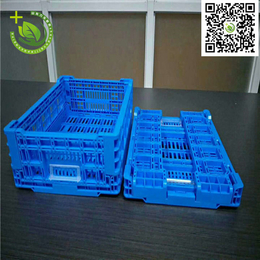 力乐包装(多图)-长方形小型折叠塑料筐-邹平塑料筐