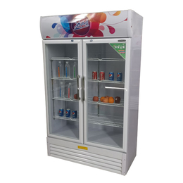 创意的饮料柜价格-内蒙古创意的饮料柜-盛世凯迪制冷设备销售