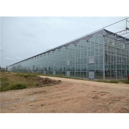 贵贵温室-新疆玻璃温室-玻璃温室