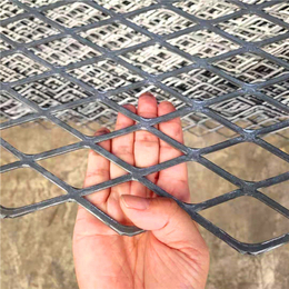 百鹏丝网-钢板网-过滤钢板网-防护罩钢板