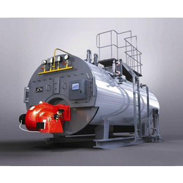 安徽尚亿锅炉-安徽蒸汽锅炉-4吨蒸汽锅炉价格