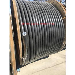 赤峰铝芯电缆-铝芯电缆规格-天津市电线二厂(****商家)