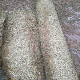 加筋麻椰固土毯-加工植物纤维毯-纤维毯