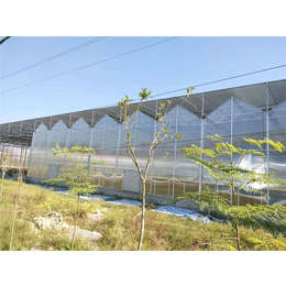 青州瀚洋农业-玻璃温室-玻璃温室大棚