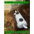 梅州污水设备模压化粪池污水设备模压化粪池厂家缩略图2
