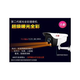 防盗设备*品牌-深圳文安天警技术-防盗设备