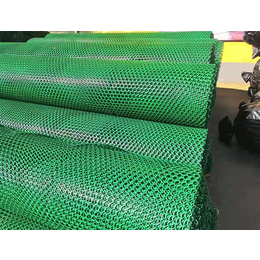 北京边坡罩面网-大广新材料-边坡罩面网价格