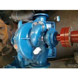 强盛泵业厂家-安徽S型双吸泵规格