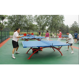 郑州室外乒乓球台价格-【虹途公司】-室外乒乓球台