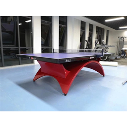 新余市体育器材-吉安市特冠体育-体育器材乒乓球台