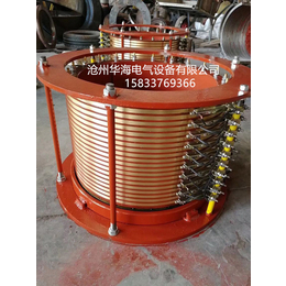 华海电气-YRKK1000异型电机集电环
