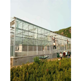 贵贵温室-银川玻璃温室-玻璃温室公司