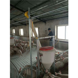 牧鑫养殖品质*格低(图)-猪舍料线多少钱-连云港猪舍料线