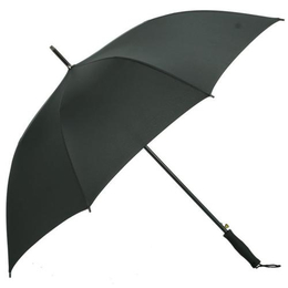 贵州雨伞-丽虹科技-贵州雨伞价格