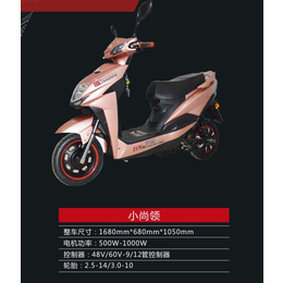 宁夏电动摩托车哪种好常用指南「多图」