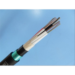 光缆在线咨询-远洋电线电缆(在线咨询)-光缆