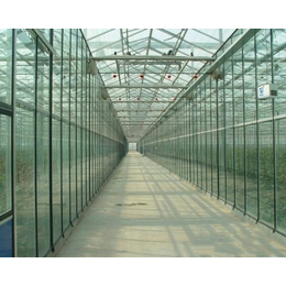 临汾玻璃温室-卓尔温室-玻璃温室骨架