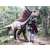 侏罗纪大恐龙腕龙模型厂家出租缩略图3