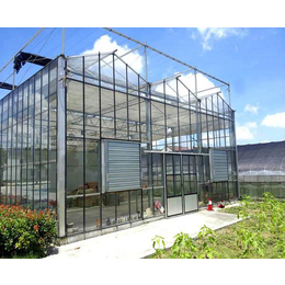 智能玻璃大棚设计-合肥小农人厂家-淮北玻璃大棚