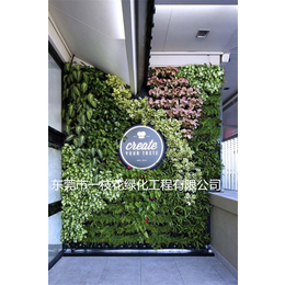 售楼处植物墙制作-东莞售楼处植物墙-东莞市一枝花绿化工程