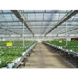 温室用玻璃报价-建英农业-钦州温室用玻璃