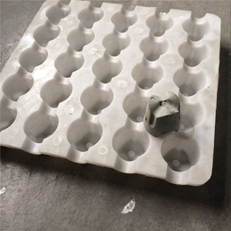 塑料垫块水泥垫块塑料模具厂家-宁夏水泥垫块塑料模具-威邦机械