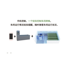 青州迪生(在线咨询)-陕西300斤芽苗机-300斤芽苗机排行