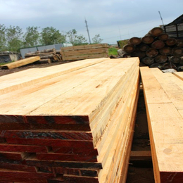 辐射松方木生产厂家-辐射松方木-日照友联木材加工厂家