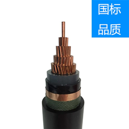 重庆欧之联电缆有限公司-单芯高压电缆yjv62-黄冈高压电缆