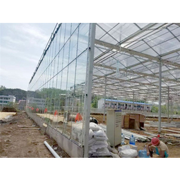 青州瀚洋农业(图)-玻璃智能温室-智能温室