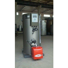 立式常压热水锅炉-泰润环保-常压热水锅炉