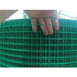 养鸡铁丝网厂-养鸡铁丝网-散养鸡养殖铁丝网