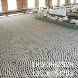 鸡鸭鹅用塑料网床及其配件 养殖用塑料漏粪板