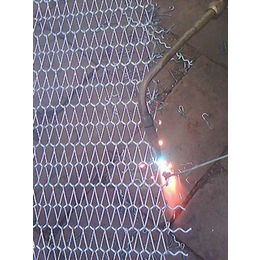 304金属碳钢不锈钢传输带 烘干网带厂家价格优惠