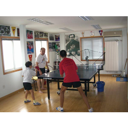智能双蛇乒乓球发球机-乒乓球馆乒乓球发球机联系方式