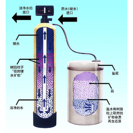 2T工业锅炉及循环水除垢用软化水设备