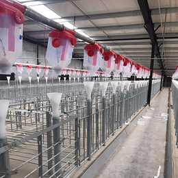 新型养猪设备自动化料线上料系统厂家*缩略图