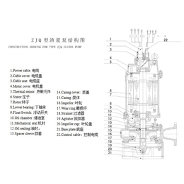 立式潜水渣浆泵-四川潜水渣浆泵-ZJQ潜水渣浆泵(图)