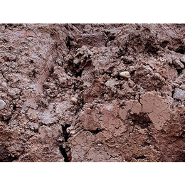 堤坝土碎土设备-甘肃天龙打土机(在线咨询)-碎土设备