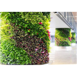 室外植物墙-德之助展览(在线咨询)-威海植物墙